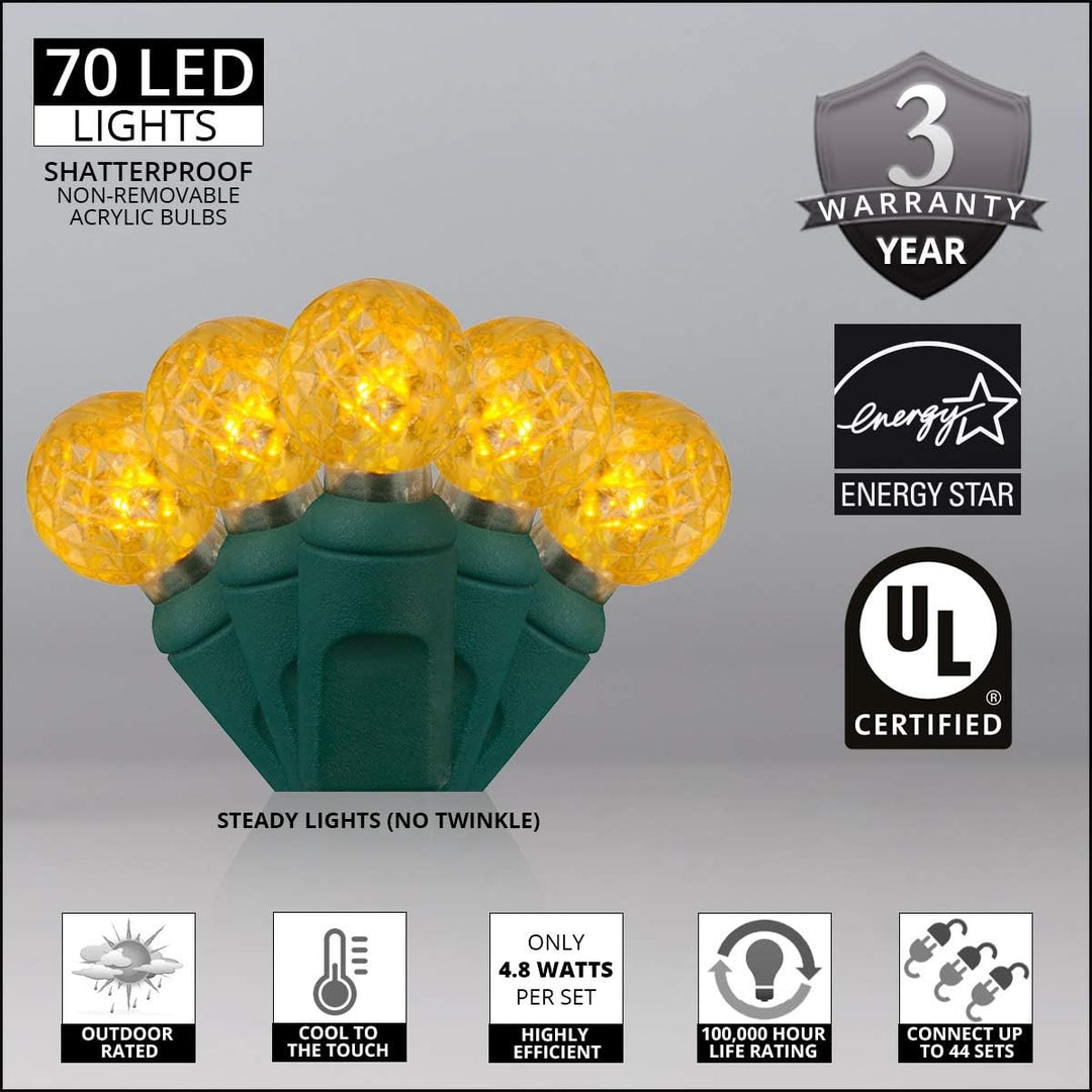 24' Raspberry LED String Lights, Gold